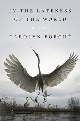 In the Lateness of the World by Carolyn Forché